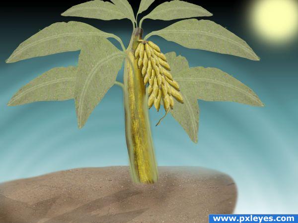 Creation of Plant with banana: Final Result